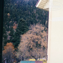 фото из отзыва ID 1312706