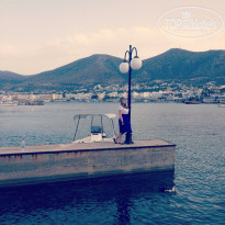 фото из отзыва ID 1312740