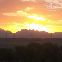 фото из отзыва ID 1312765