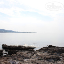 фото из отзыва ID 1312864