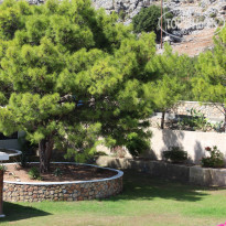 фото из отзыва ID 1312864