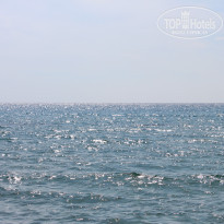 фото из отзыва ID 1312864