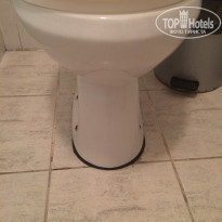 фото из отзыва ID 1312908