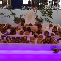 фото из отзыва ID 1312913