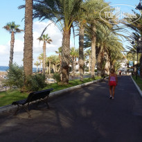 фото из отзыва ID 1312913