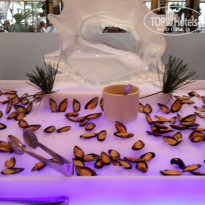 фото из отзыва ID 1312913