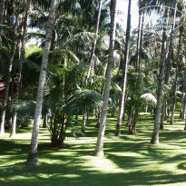 фото из отзыва ID 1312913