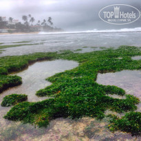 фото из отзыва ID 1312924