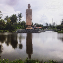 фото из отзыва ID 1312924