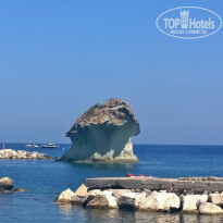 фото из отзыва ID 1312960