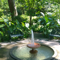 фото из отзыва ID 1312960