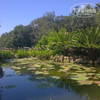 фото из отзыва ID 1312960