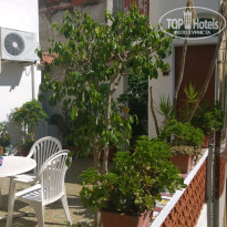 фото из отзыва ID 1312960