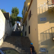 фото из отзыва ID 1312960