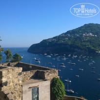 фото из отзыва ID 1312960