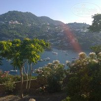 фото из отзыва ID 1312960