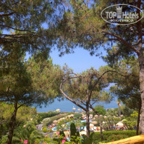 фото из отзыва ID 1312960