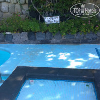 фото из отзыва ID 1312960