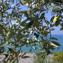 фото из отзыва ID 1312960