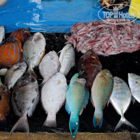 фото из отзыва ID 1313013