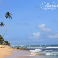 фото из отзыва ID 1313013