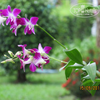 фото из отзыва ID 1313021