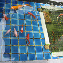 фото из отзыва ID 1313054