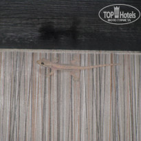 фото из отзыва ID 1313054