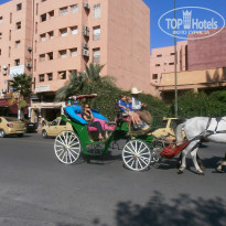 фото из отзыва ID 1312948