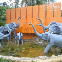 фото из отзыва ID 1312741