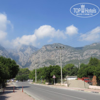 фото из отзыва ID 1313178