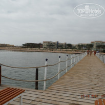 фото из отзыва ID 1313258