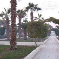 фото из отзыва ID 1313263