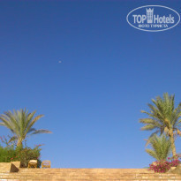 фото из отзыва ID 1313412