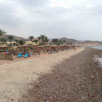 фото из отзыва ID 1312353