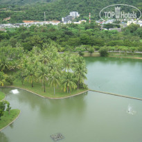 фото из отзыва ID 1313205