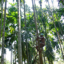 фото из отзыва ID 1312834