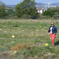 фото из отзыва ID 1313631