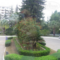 фото из отзыва ID 1313655