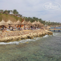 фото из отзыва ID 1313778