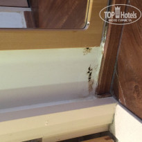 фото из отзыва ID 1313885