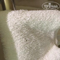 фото из отзыва ID 1313885