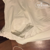 фото из отзыва ID 1313885