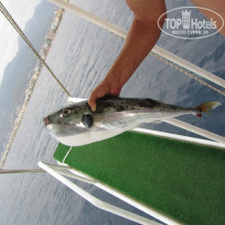 фото из отзыва ID 1313886