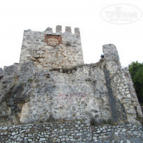 фото из отзыва ID 1313886