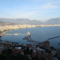 фото из отзыва ID 1313886