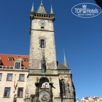 фото из отзыва ID 1314013