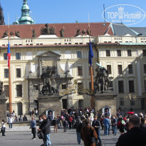 фото из отзыва ID 1314013