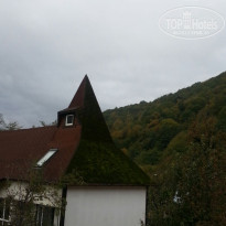 фото из отзыва ID 1314020