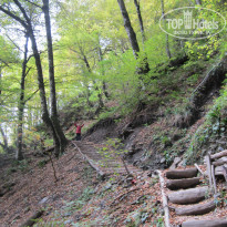 фото из отзыва ID 1314020